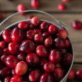 The Power of Cranberry Juice for Gum Health