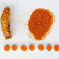 The Healing Power of Turmeric for Receding Gums